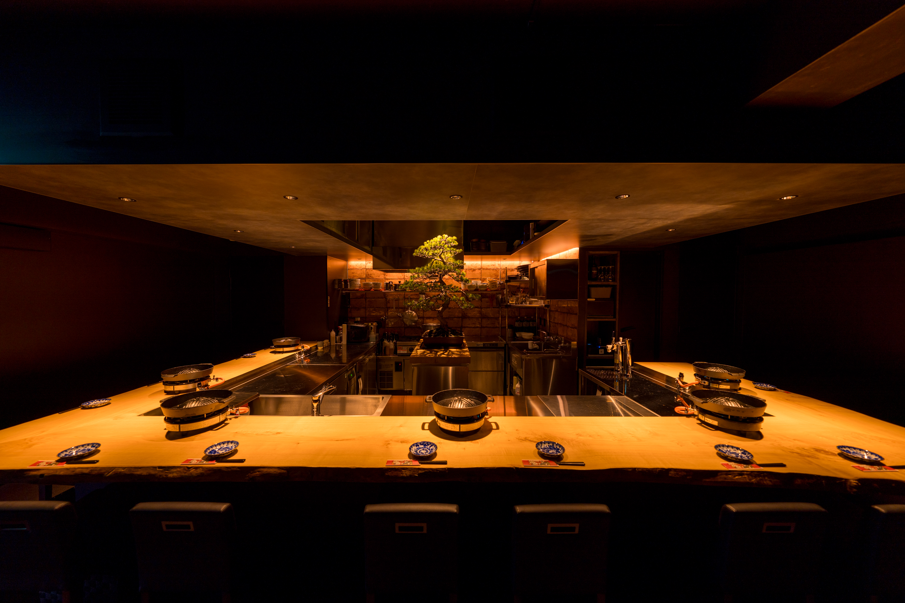 樹齢200年のカウンター